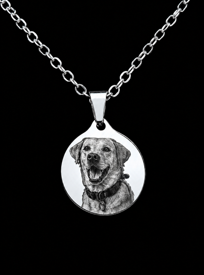 "Mi mejor amigo" Collar personalizado de mascota + box de regalo